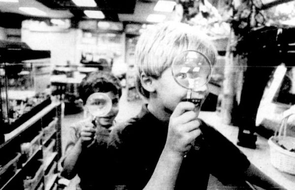 Two boys look through magnifying glasses