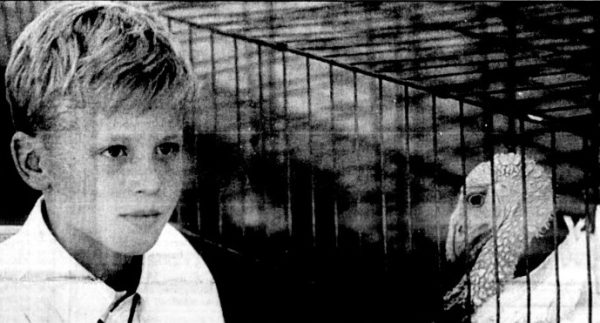 A boy looks at his pet turkey