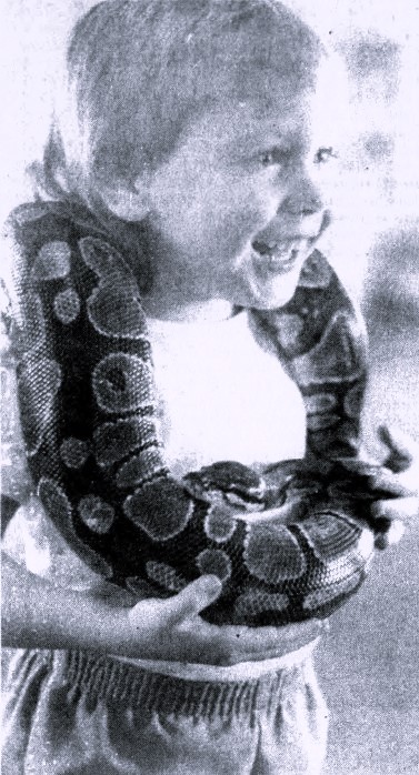 A small boy wears a boa constrictor around his neck.