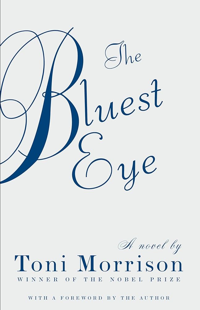 What Is The Theme Of The Book The Bluest Eye